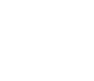 The Aesthetic logo