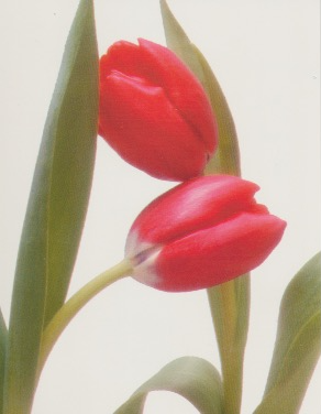 8a
