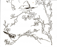 card1_front-200x165